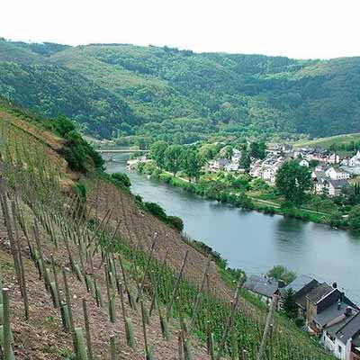 Tag på vintur i Tyskland: De bedste vinregioner i Tyskland, du bør besøge